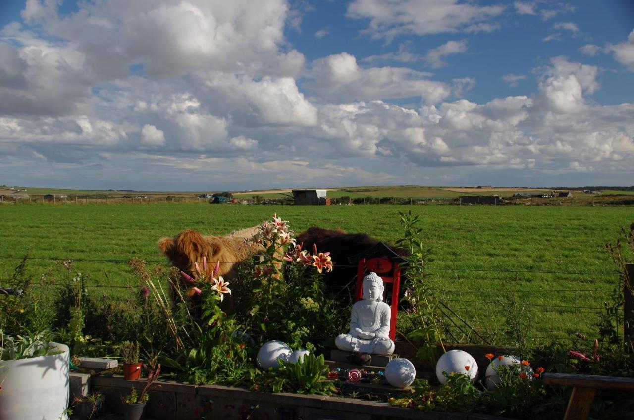 Bed and Breakfast Carrig Lios Thurso Exterior foto